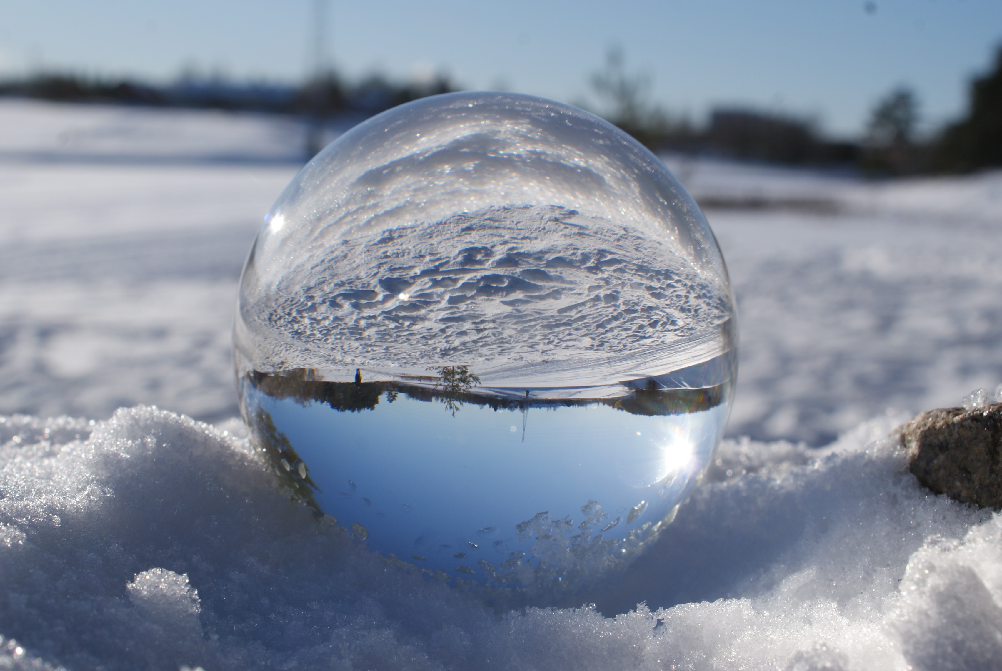 Lens ball view of a wintery landscape.