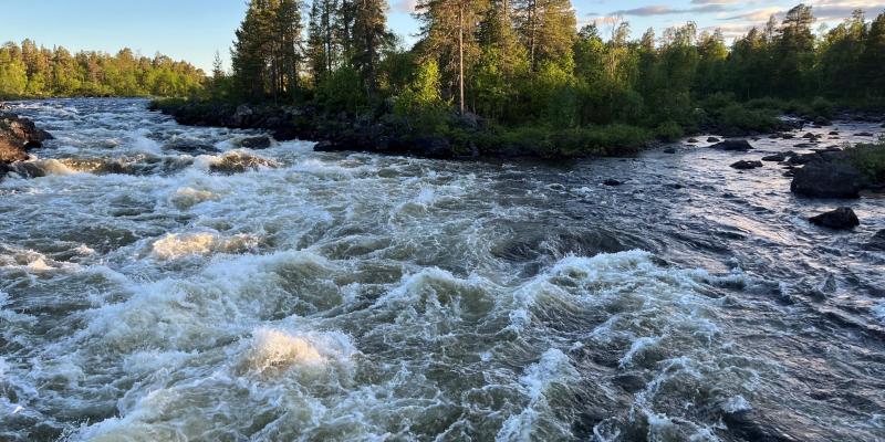 Jäniskoski, Inari